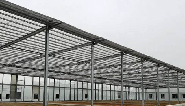 提升冷链配送维护效率的实用建议